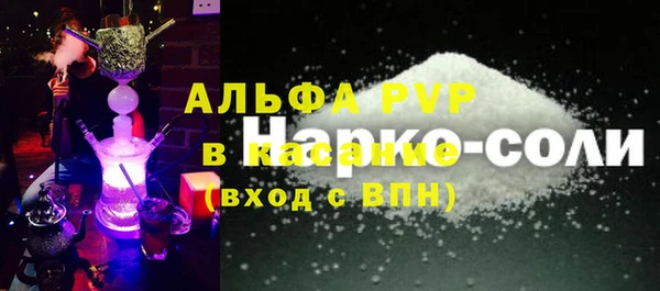 шишки Белокуриха