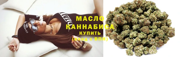шишки Белокуриха