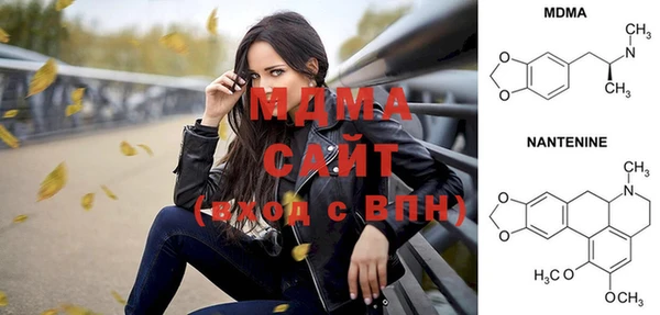 шишки Белокуриха