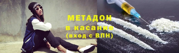 шишки Белокуриха