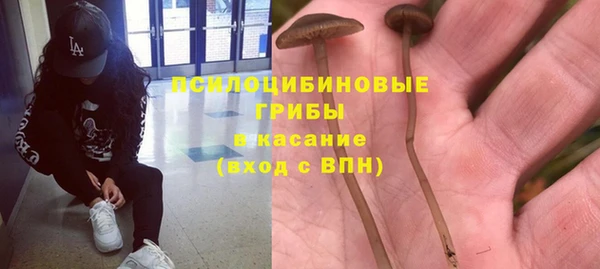 ECSTASY Снежногорск