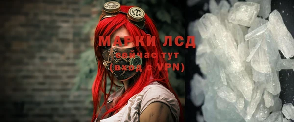шишки Белокуриха