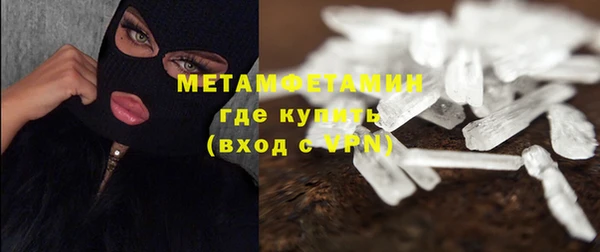 шишки Белокуриха