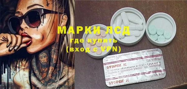 шишки Белокуриха