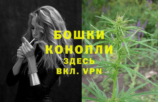 шишки Белокуриха