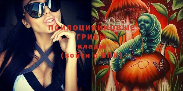 шишки Белокуриха