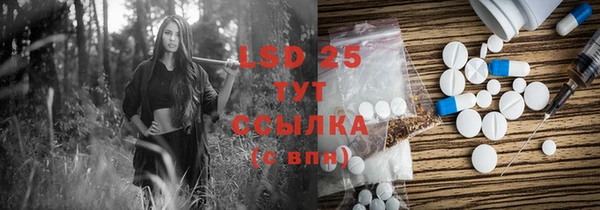 PSILOCYBIN Беломорск