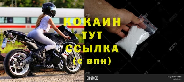 шишки Белокуриха