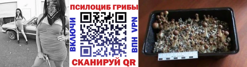 гидра рабочий сайт  Верхний Тагил  Псилоцибиновые грибы Magic Shrooms 
